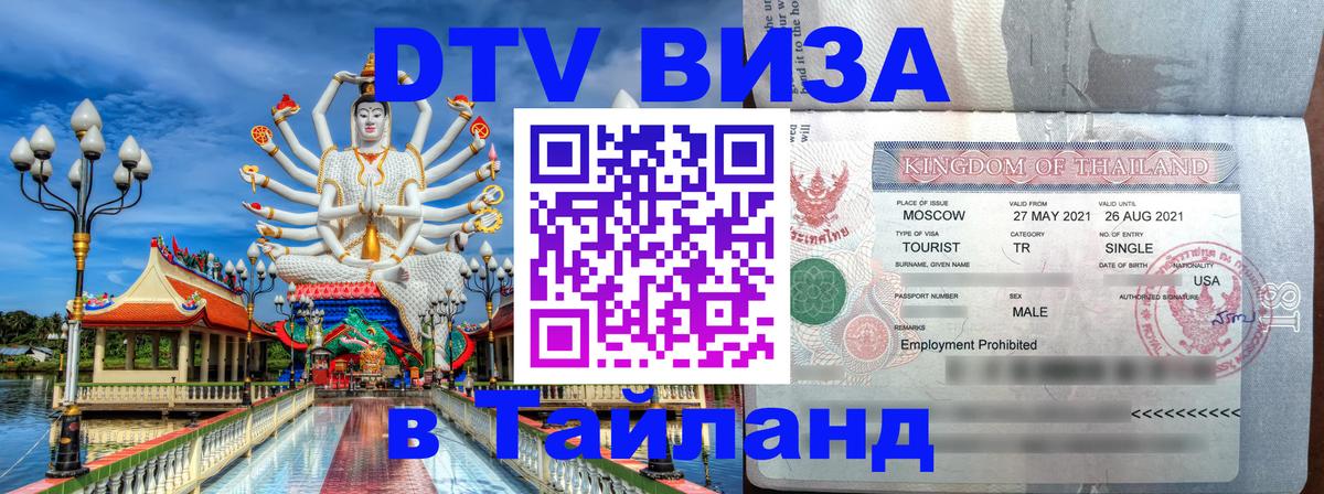 Оформление DTV визы под ключ: стоимость и тарифы, только загранпаспорт - 20.11.2025 
